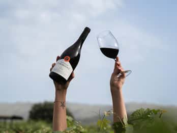 Pinhão: Zwiedzanie winnicy Quinta da Formigosa i degustacja wina