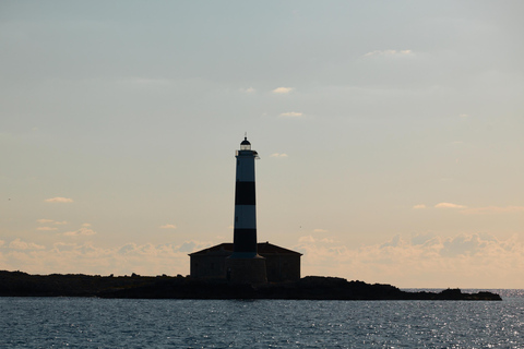 Ibiza: Formentera Boat and Bike Guide Tour +Sunset Party Gold Edition: Formentera Bike & Boat Adventure from Ibiza