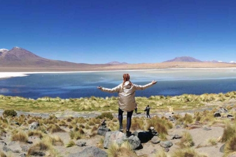 Van La Paz: Tiwanaku en Lake Titicaca eendaagse tour