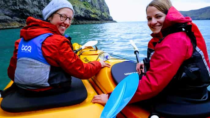 akaroa 3hour guided sunrise sea kayaking safari