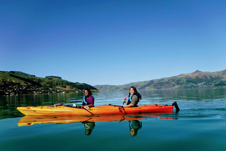 Akaroa: Wycieczka kajakiem po morzu do rezerwatu morskiego AkaroaAkaroa: Kajakarstwo morskie w rezerwacie morskim Akaroa