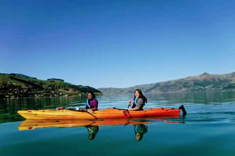 Akaroa Harbour 3-Hour Eco Tour by Sea Kayak