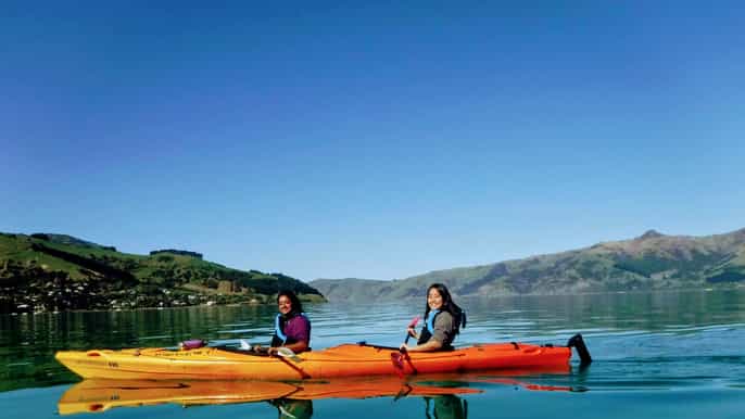 akaroa harbour 3uur durende ecotour per zeekajak