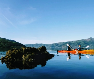 Akaroa: Wycieczka kajakiem po morzu do rezerwatu morskiego Akaroa