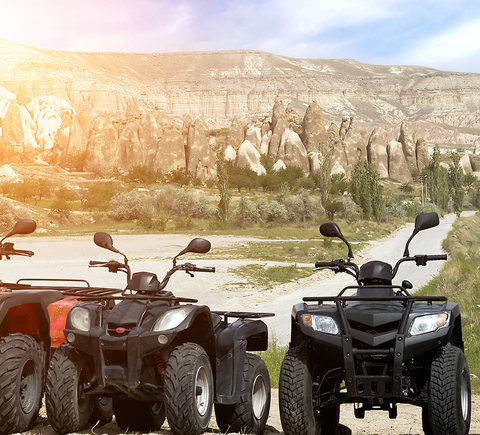 Sightseeing on wheels