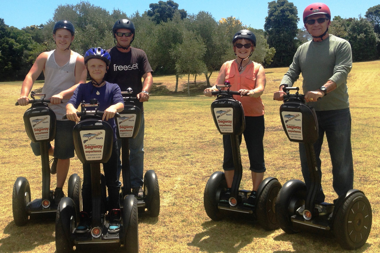 Auckland: Devonport Waterfront SegwayStandard Option