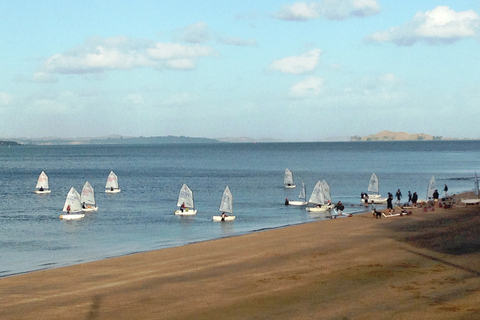 Auckland: Devonport Waterfront SegwayStandard Option