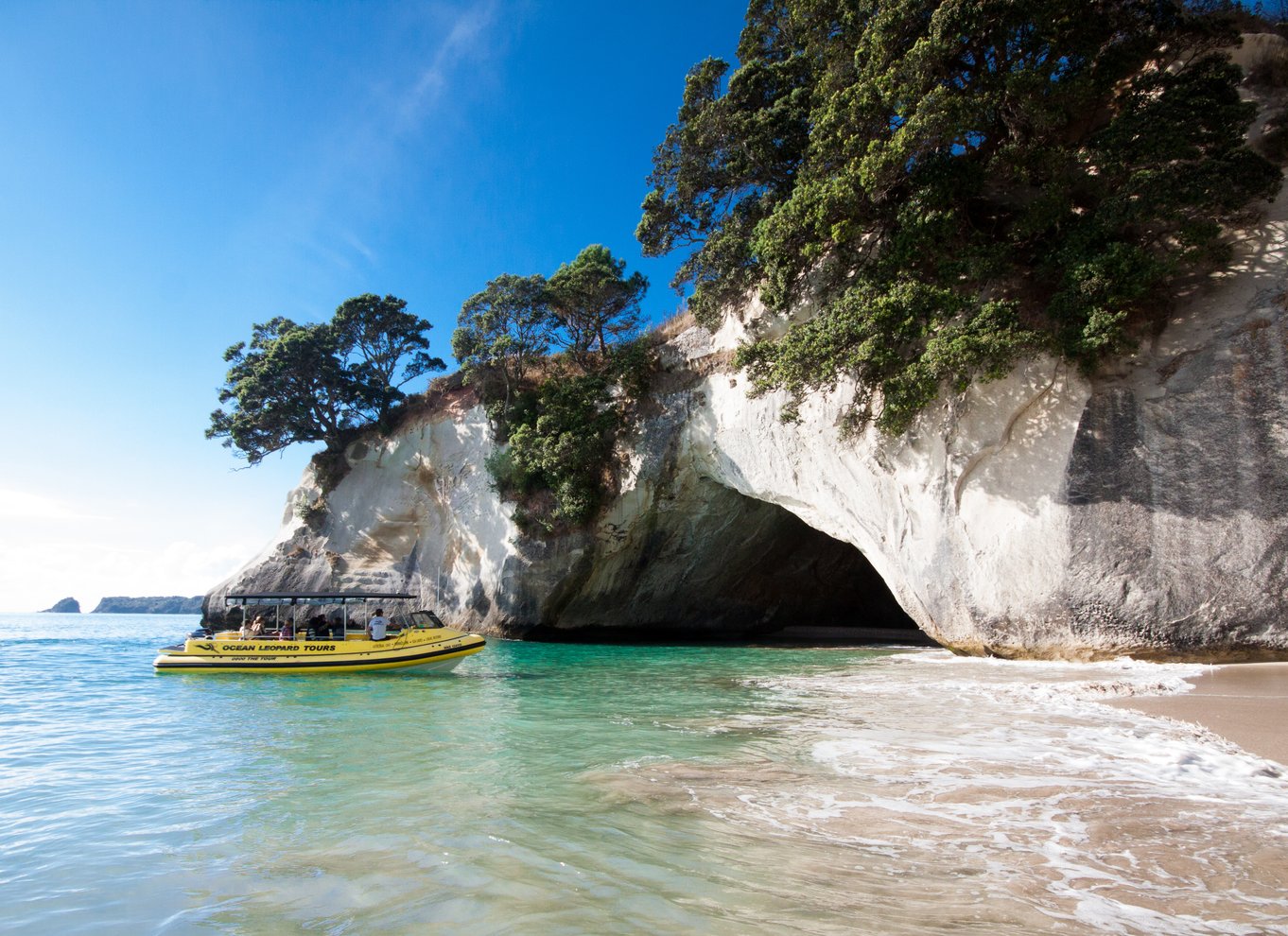 Whitianga: Cathedral Cove 2 timers bådtur