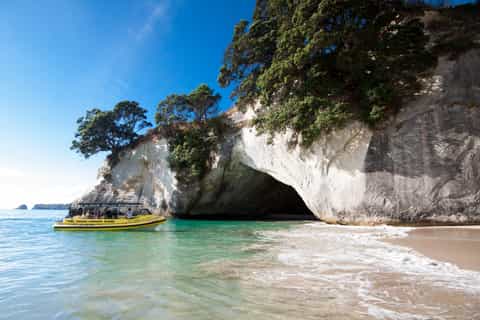 whitianga cathedral cove 2 hour boat cruise