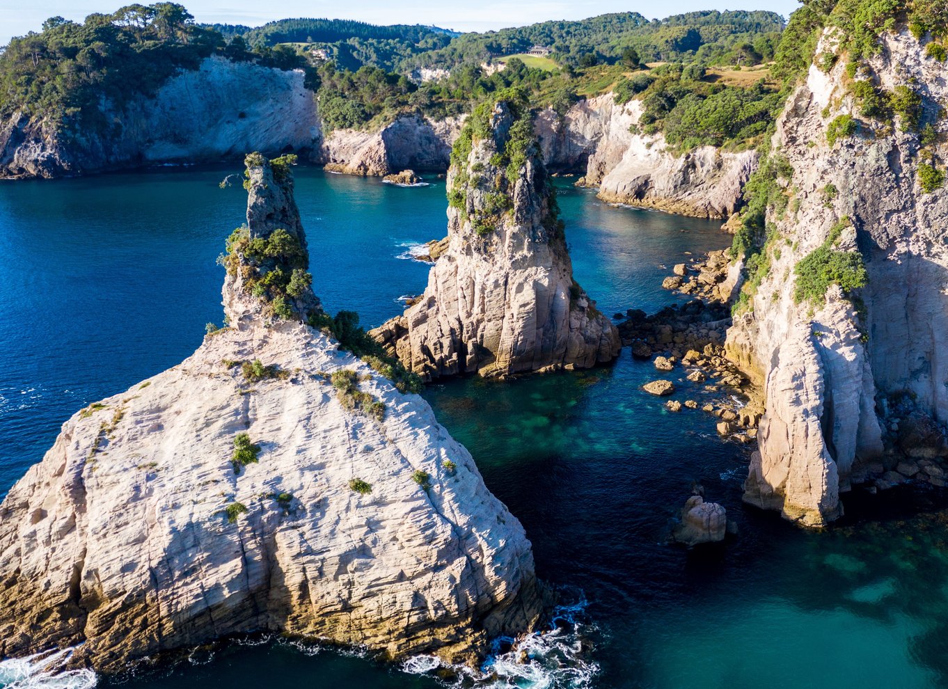 Whitianga: Cathedral Cove 2 timers bådtur