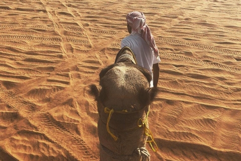 Dubaï : safari sur les dunes avec quad, sandboard et chameauVisite privée sans quad
