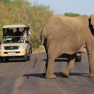 Kruger National Park: Justicia Village Visit & Safari Tour