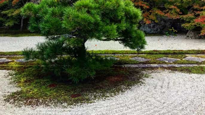 kyoto zen garden zen mind halfday tour