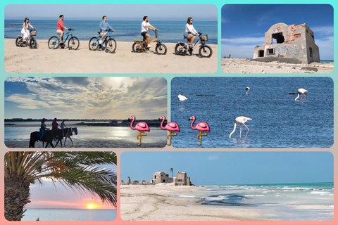 Djerba: Ride to the Pink Flamingo Peninsula by Electric Bike
