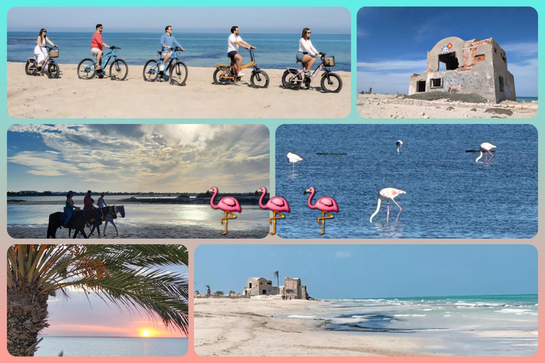 Djerba: Ride to the Pink Flamingo Peninsula by Electric Bike