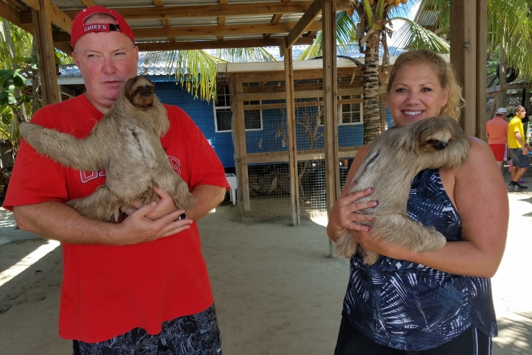 Roatán Island: Monkey, Sloths, and Sightseeing Tour