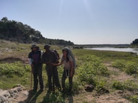 Kruger National Park, 3-Hour Walking Safari - Housity
