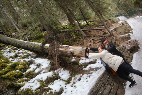 Explore Banff National Park - Exclusive Small Group Tour