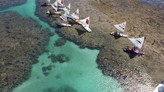 desde recife excursión a la playa de porto de galinhas