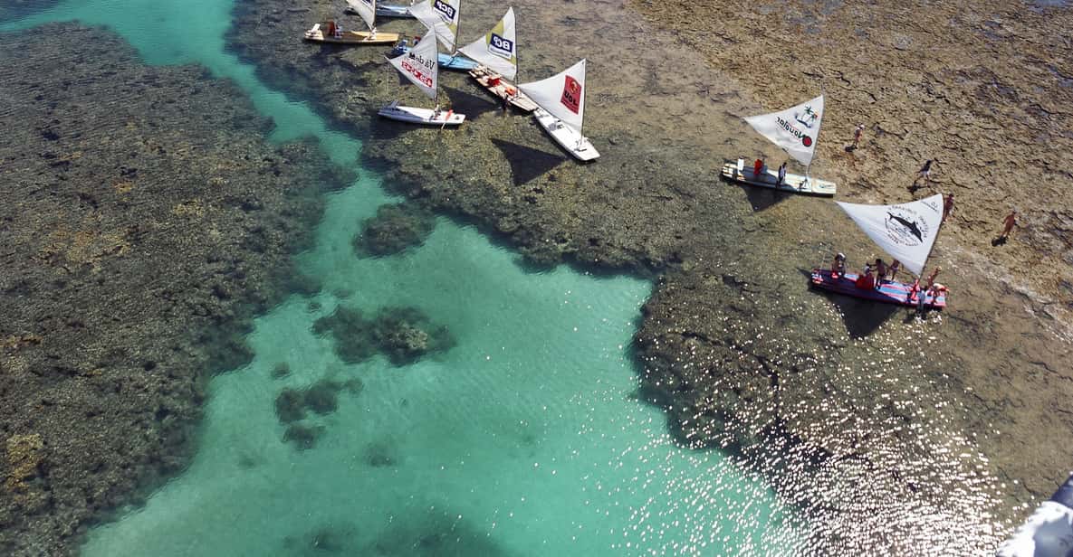 From Recife: Porto de Galinhas Beach Day-Trip