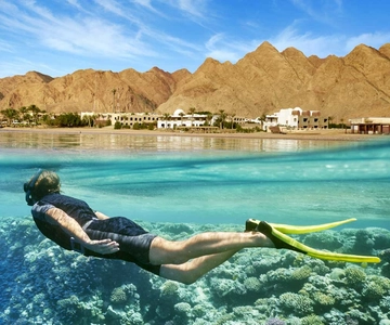 Il Cairo: Tour di un giorno sul Mar Rosso con pranzo