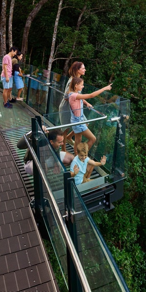 Skyrail Rainforest Cableway Round-Trip Experience, Kuranda, Australia