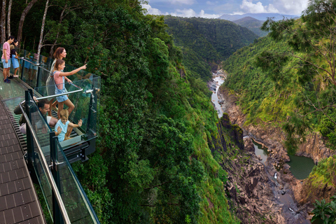 Skyrail, téléphérique de la forêt tropicale, aller-retourSkyrail Rainforest Cableway aller-retour 10h00