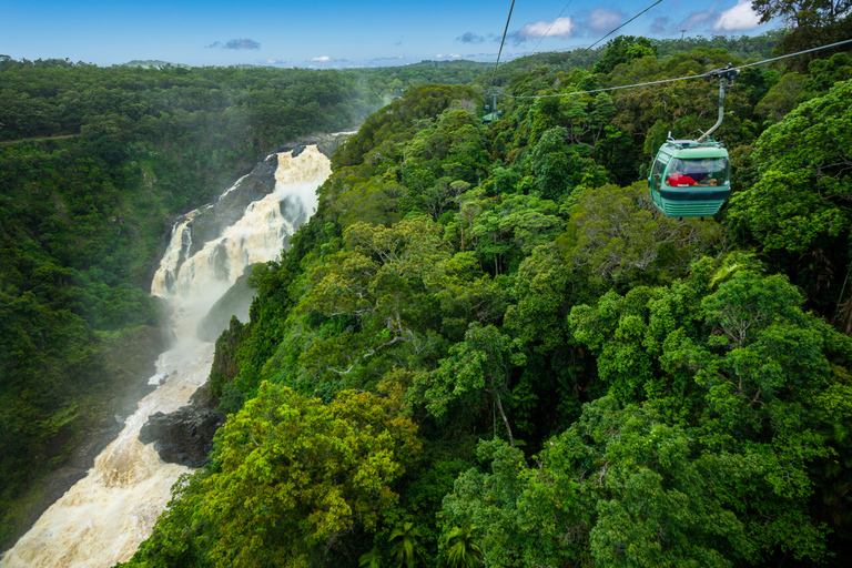 Skyrail Rainforest linbana tur och retur upplevelseSkyrail Rainforest Cableway-upplevelse klockan 09.00