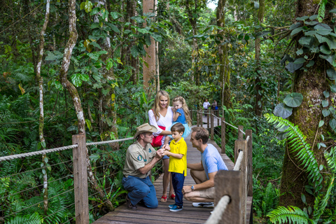 Skyrail Rainforest linbana tur och retur upplevelseSkyrail Rainforest Cableway-upplevelse klockan 09.00