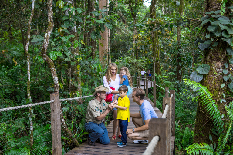 Skyrail Rainforest Cableway Round-Trip ExperienceSkyrail Rainforest Cableway Round-Trip Experience 9am