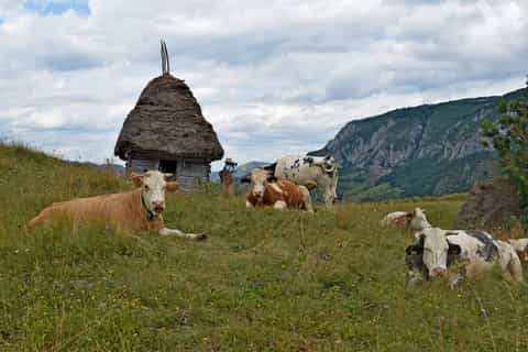 from clujnapoca apuseni day hike