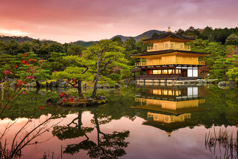 Kyoto: Tour privato di un giorno intero, personalizzabile, del Patrimonio dell&#039;UmanitàTour privato in inglese (Kyoto centrale)