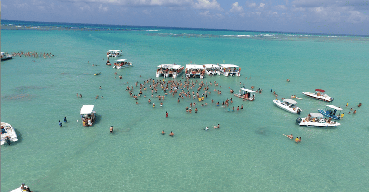 From Recife: Maragogi Beach Day Trip