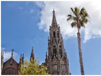 From Las Palmas: Full-Day Tour of the North