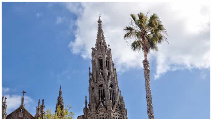 from las palmas fullday tour of the north