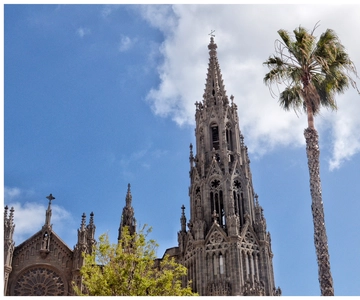 From Las Palmas: Full-Day Tour of the North