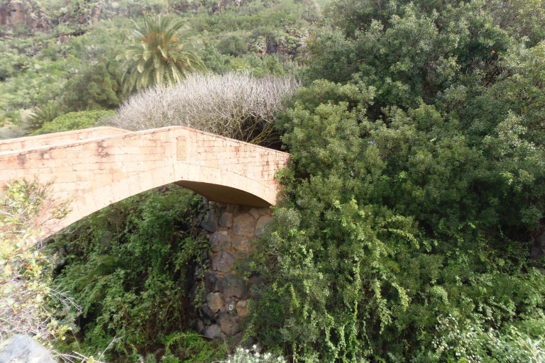 Vanuit Las Palmas: dagtocht in het noorden van Gran Canaria