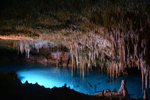 Playa del Carmen: Rio Secreto Underground River Tour Rio Secreto Underground River Tour with Transportation