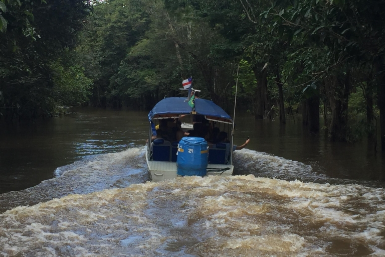 Desde Manuas: tour de día completo por el ríoTour de día completo por el río con un máximo de 8 participantes