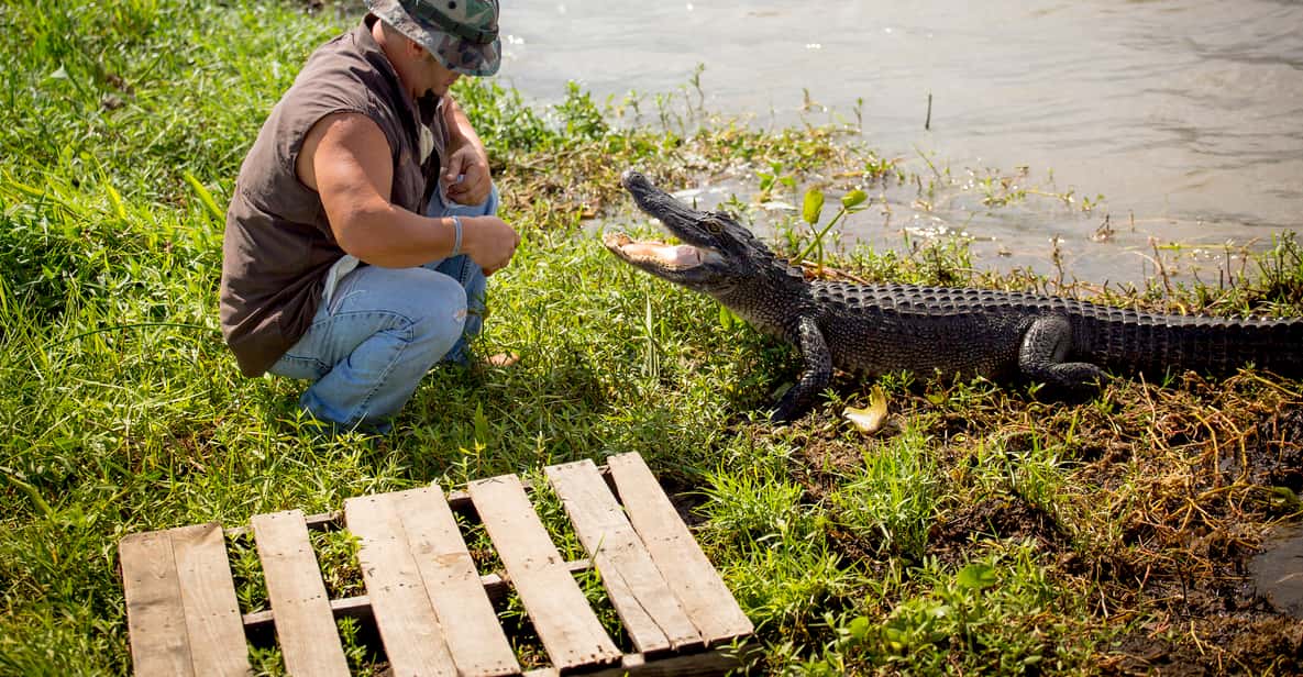 New Orleans Swamp & Bayou Boat Tour