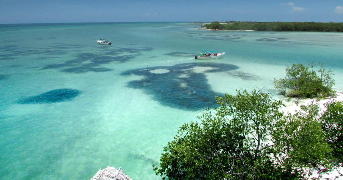 transfer cancun holbox island