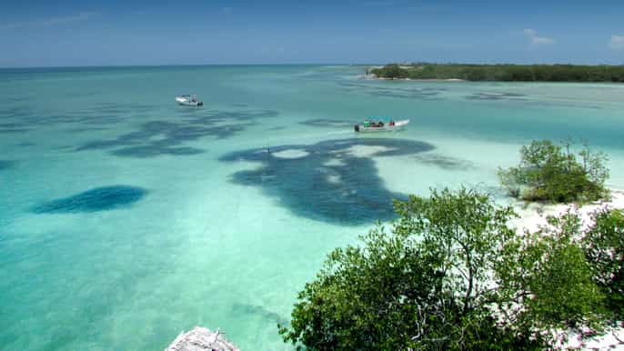 holbox island tour with transfer options