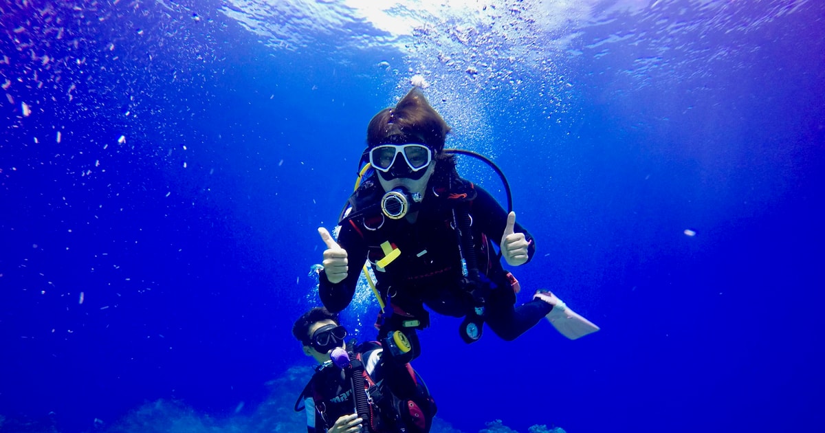 Cartagena Scuba Diving Experience Cartagena, Colombia GetYourGuide