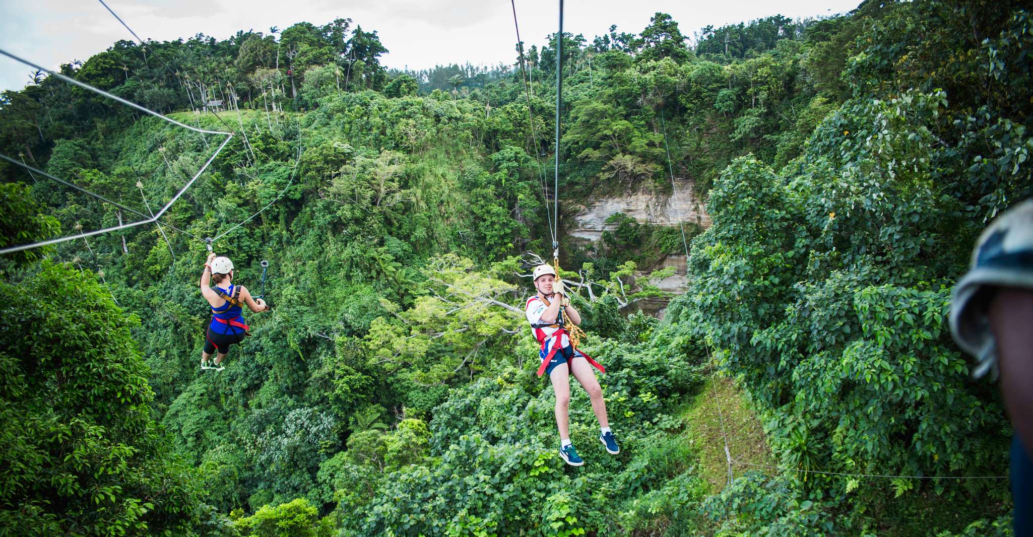 Vanuatu Jungle Zipline - Housity