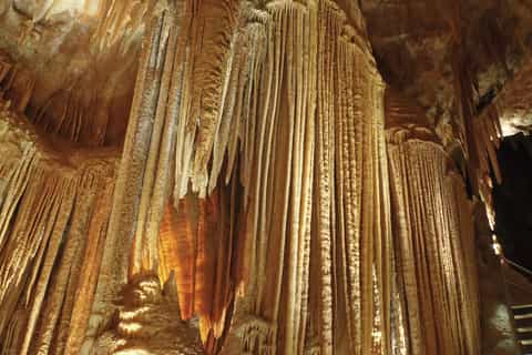 jenolan caves tour