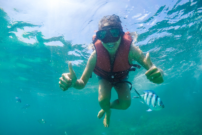 Koh Samui: Pig Island Tour by Speedboat with Snorkeling Private Tour or Cruise Ship Option