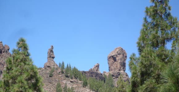 From Las Palmas: Pico de las Nieves & Roque Nublo Full-Day Trip