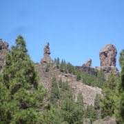From Palmas: Pico de las Nieves & Roque Nublo Full-Day Trip