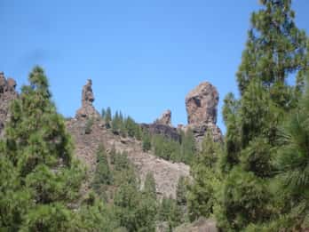 From Palmas: Pico de las Nieves & Roque Nublo Full-Day Trip