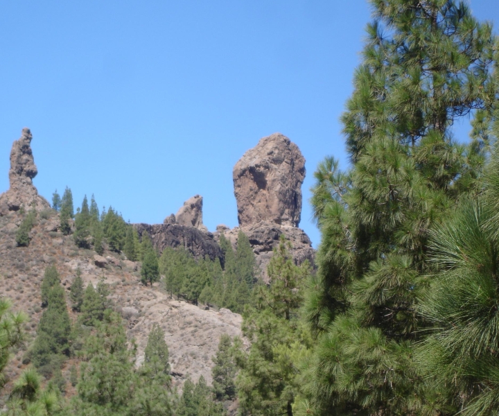 From Las Palmas: Bandama, High Peaks, and Roque Nublo Tour